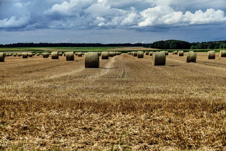 a field full of hay bales under a cloudy sky, a picture, pixabay, belgium, in field high resolution, fall season, on a desolate plain