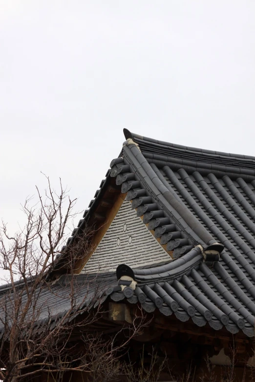 a bird is perched on the roof of a building, shin hanga, korean traditional palace, cold stormy wind, tiles, very detailed curve