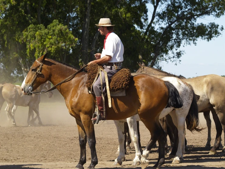 a man riding on the back of a brown horse, by Fernando Gerassi, pixabay, both men and cattle, chilean, florida, smart looking