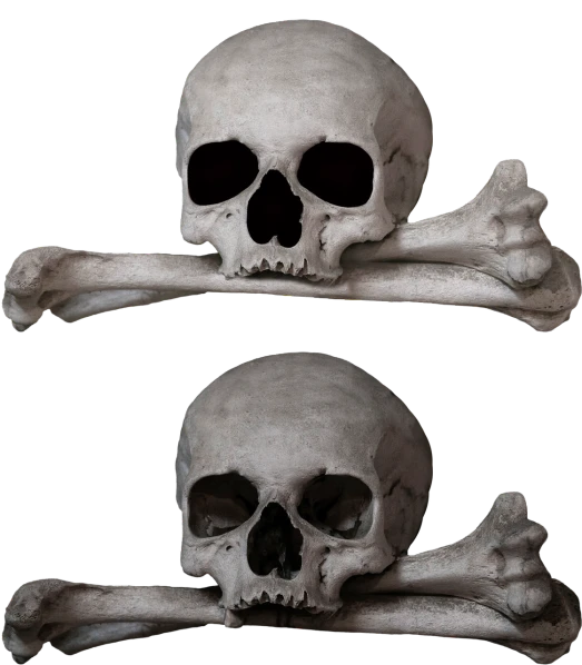 a couple of skulls sitting next to each other, shutterstock, restored color, diptych, skull and crossbones, highly detailed barlowe 8 k