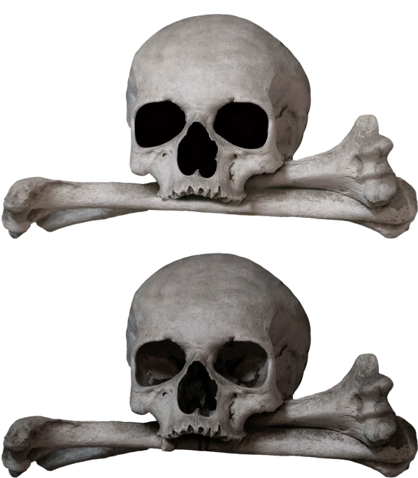 a couple of skulls sitting next to each other, shutterstock, restored color, diptych, skull and crossbones, highly detailed barlowe 8 k