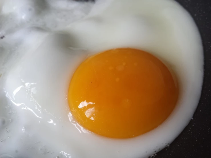 a close up of an egg in a frying pan, by Julian Hatton, closeup photo, listing image, egg yolk, semi realistic