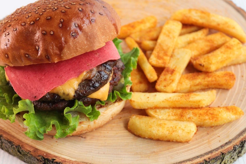 a hamburger and french fries on a wooden plate, 🦩🪐🐞👩🏻🦳, detailed zoom photo, hd —h 1024, tutorial