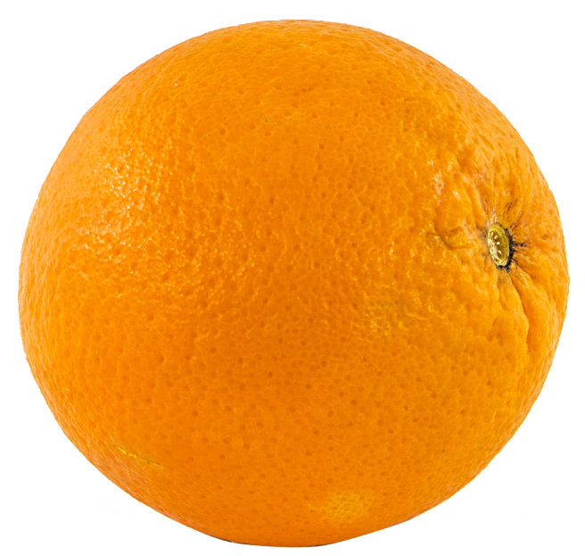 a close up of an orange on a white background, realism, 360 degree view, very accurate photo, close-up product photo, giant