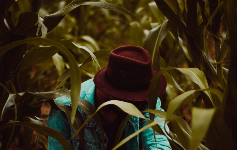 a person wearing a hat in a corn field, inspired by Elsa Bleda, pexels contest winner, conceptual art, spying, jungle around him, portrait mode photo, digging