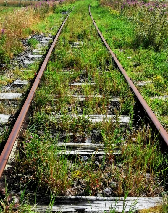 a train track running through a lush green field, pixabay, decaying, intricate details photograph