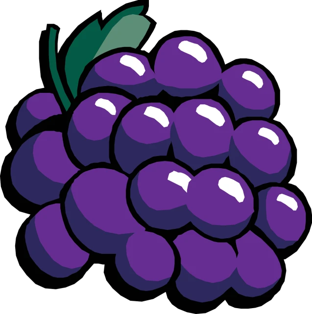a bunch of grapes on a black background, a digital rendering, by Kōno Michisei, pixabay, sōsaku hanga, simple cartoon style, more dark purple color scheme, !!! very coherent!!! vector art, an alien fruit