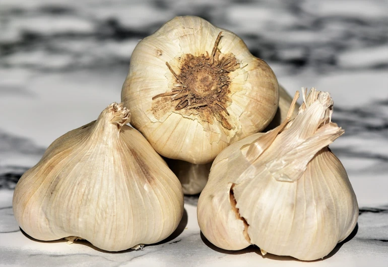 a bunch of garlic sitting on top of a counter, a portrait, inspired by Carpoforo Tencalla, pixabay, hurufiyya, detailed veiny muscles, white - blond hair, trio, mid shot portrait