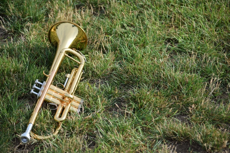 a trumpet laying in the grass on the ground, golden pommel, educational, sunday afternoon, deserted