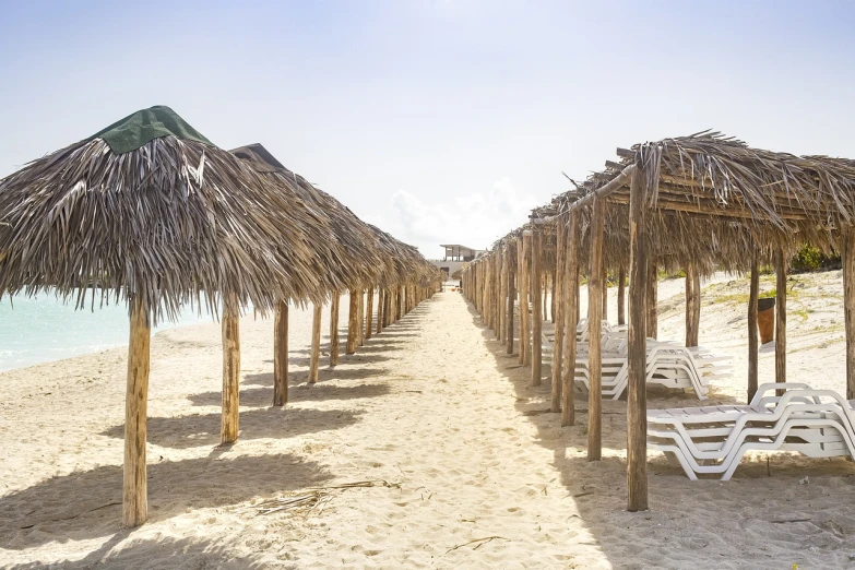 a row of straw umbrellas sitting on top of a sandy beach, by Felipe Seade, shutterstock, cuba, wooden structures, ultra wide-shot, with walkways