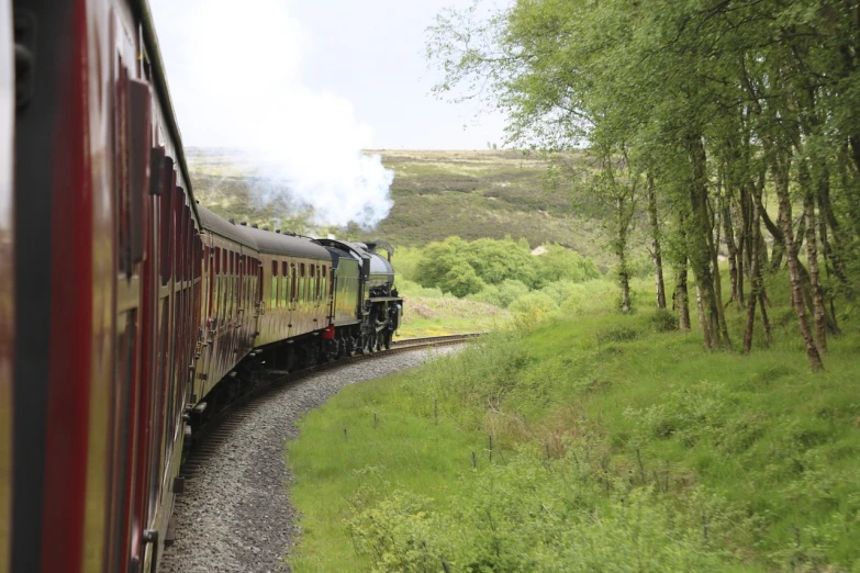 a train traveling through a lush green countryside, by John Moonan, private press, caledonian forest, photo from a spectator, 🚿🗝📝