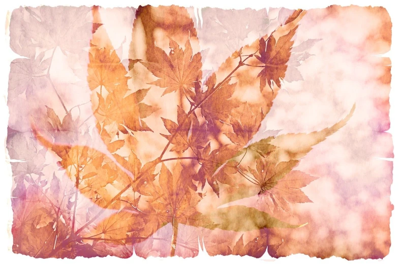 a close up of a bunch of leaves, inspired by Katsukawa Shunchō, art photography, warm colors--seed 1242253951, double exposure effect, cannabis!, layered paper style