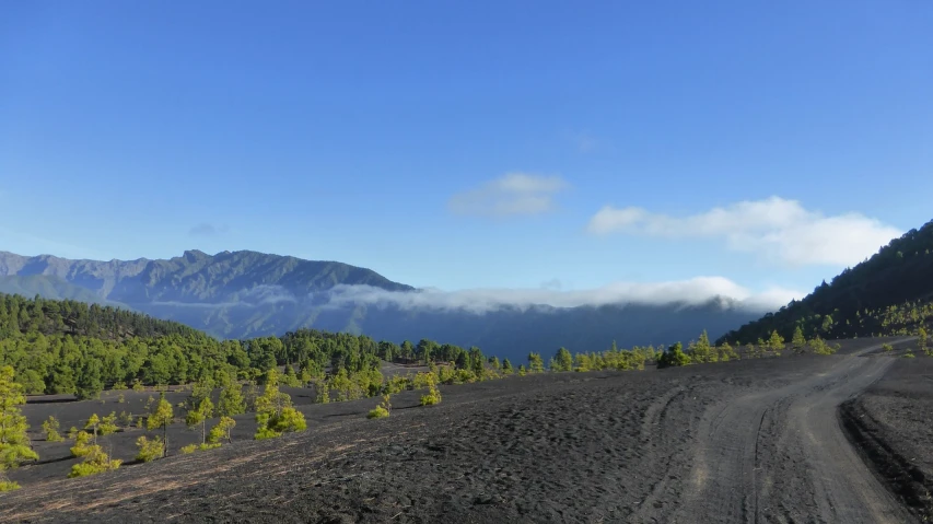 a dirt road with trees and mountains in the background, a picture, by Juan O'Gorman, flickr, figuration libre, infographic of active volcanoes, black sand, pine, panoramic view