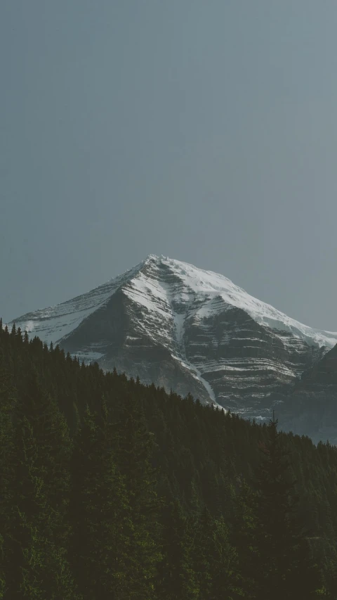 a snow covered mountain with trees in the foreground, postminimalism, muted, peak, super wide, hd phone wallpaper