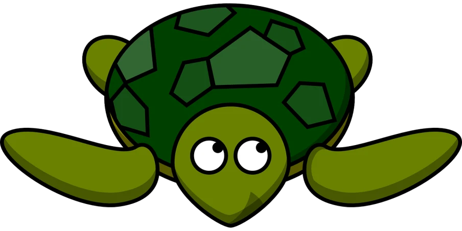 a close up of a cartoon turtle on a black background, inspired by Masamitsu Ōta, pixabay, hurufiyya, bird eye view, green and black colors, no gradients, with a large head and big eyes