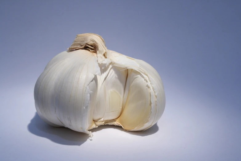a close up of a clove of garlic on a white surface, by Jan Rustem, shutterstock, hyperrealism, porcelain organic tissue, white haired, inside a cavernous stomach, florida