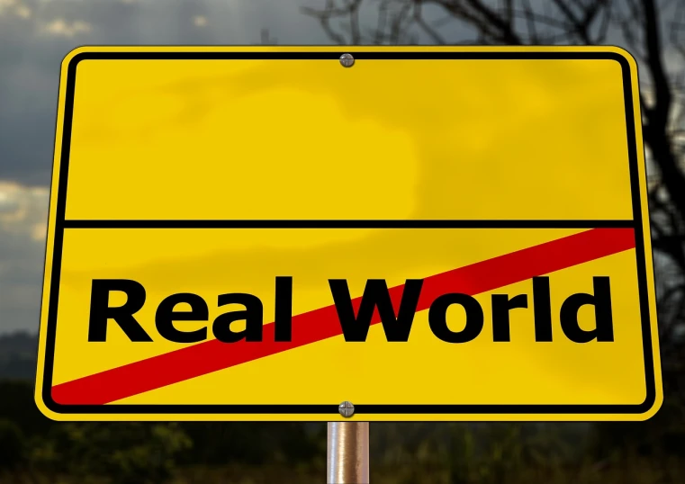 a yellow road sign with the word real world on it, pexels, realism, the world is insane, hyper reali sm, realistic 3 d style, real face