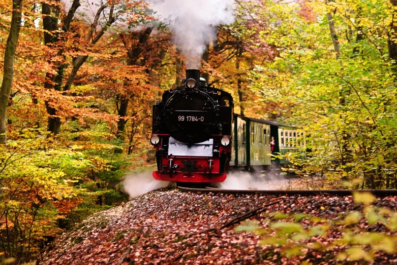 a black and red train traveling through a forest, by Karl Pümpin, flickr, fall colors, white steam on the side, gorgeous lady, germany