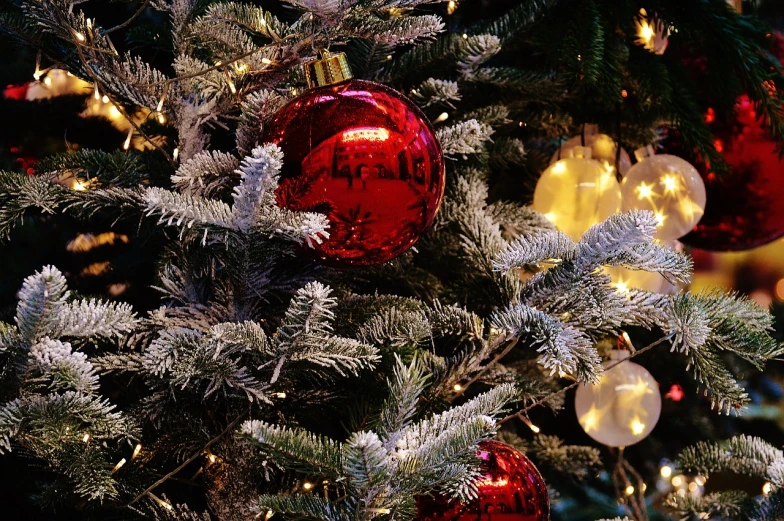 a close up of a christmas tree with ornaments, a photo, by Stefan Gierowski, pexels, fine art, red and white lighting, 🦩🪐🐞👩🏻🦳, rendered image, background image