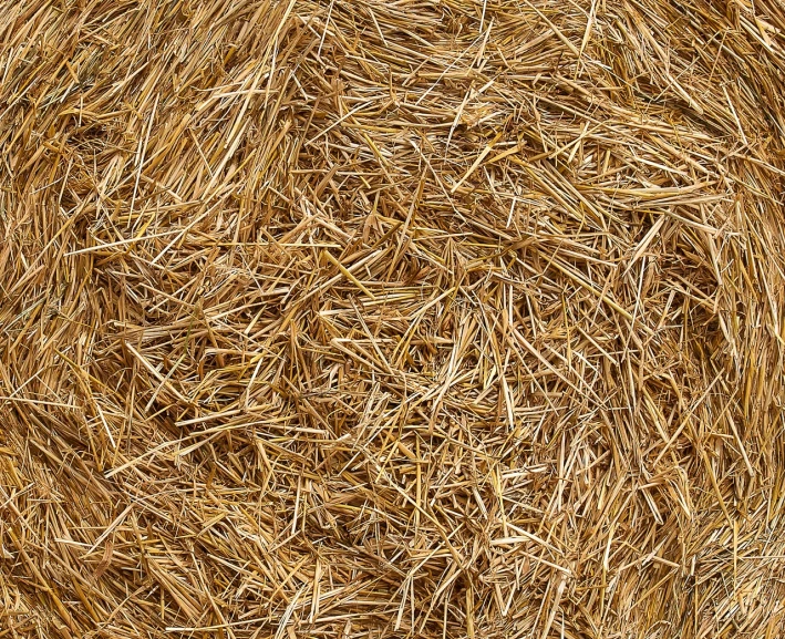 a close up of a bale of hay, an ultrafine detailed photo, viewed from above, various sizes, best on adobe stock