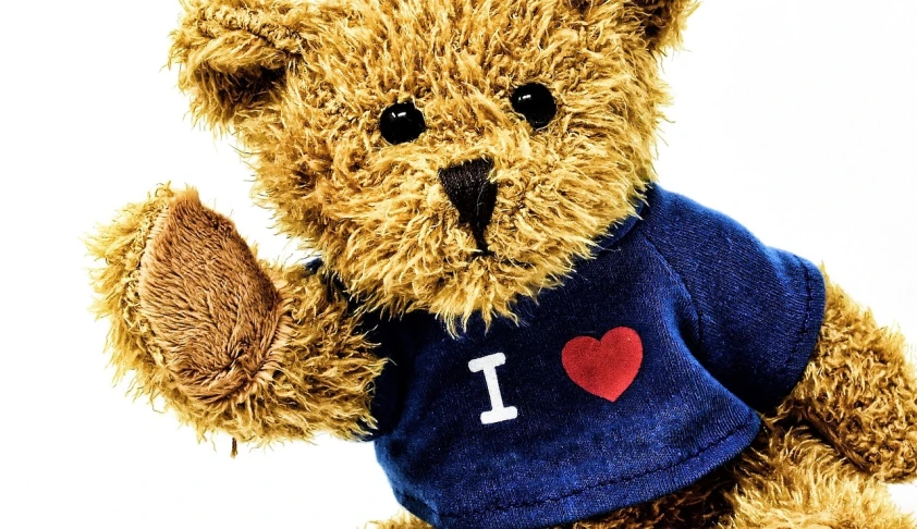 a close up of a teddy bear wearing a t - shirt, furry art, in a navy blue sweater, istockphoto, i love you, platon