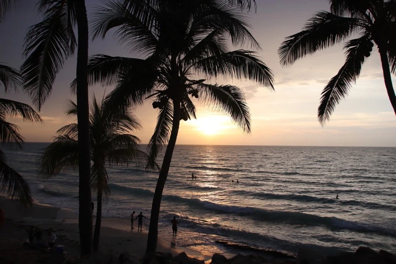 a couple of palm trees sitting on top of a beach, a photo, hurufiyya, which shows a beach at sunset, mexico, coconuts, tourist photo