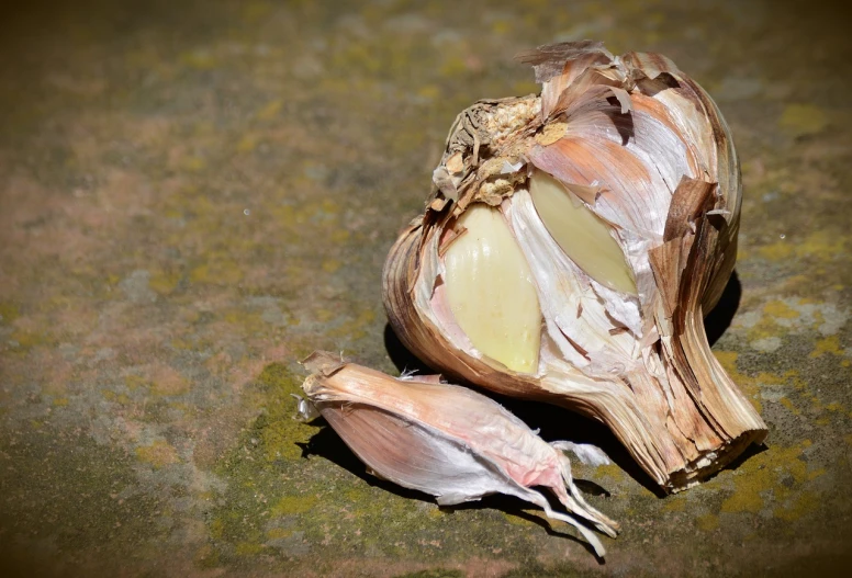 a couple of cloves of garlic on the ground, inspired by Carpoforo Tencalla, renaissance, grilled artichoke, shot on nikon d 3 2 0 0, anatomy, outdoor photo