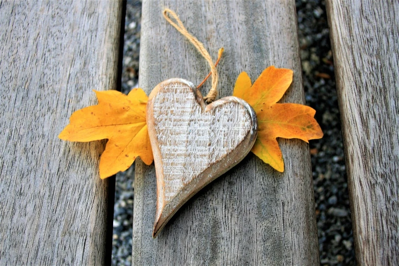 a wooden heart hanging on a wooden bench, a picture, pexels, folk art, golden leaves, above side view, 1 5 6 6, sycamore