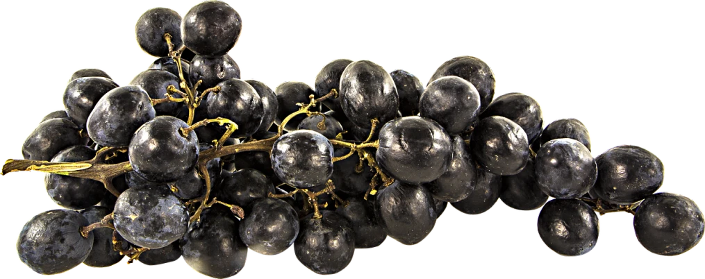 a close up of a bunch of grapes, a digital rendering, by Kathleen Scott, high contrast chiaroscuro, scientific photo, - h 1 0 2 4, black pearls
