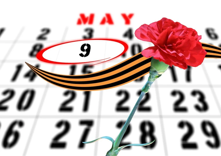 a red carnation sitting on top of a calendar, a digital rendering, by Maksimilijan Vanka, happening, may 1 0, n - 9, good day, honored