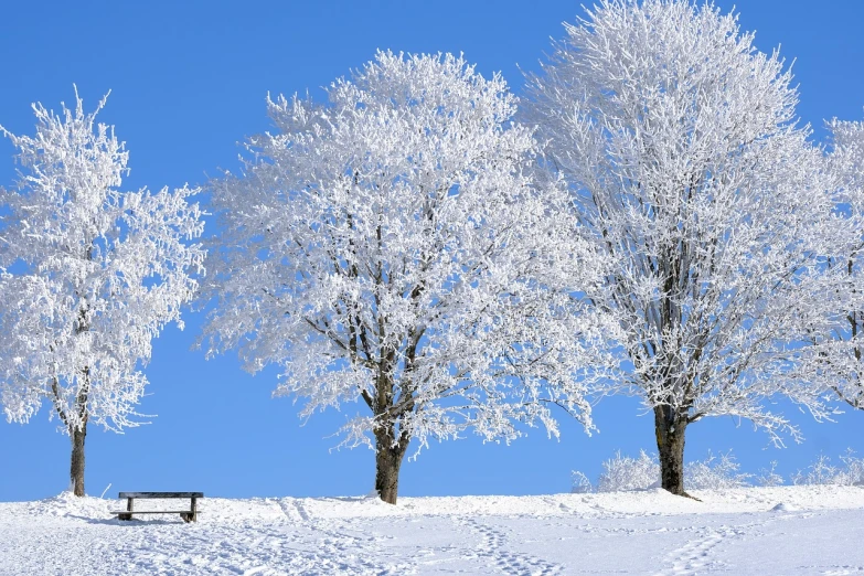 a bench sitting on top of a snow covered field, a photo, inspired by Arthur Burdett Frost, shutterstock, linden trees, white and blue color scheme, 3 winter deities, on a bright day