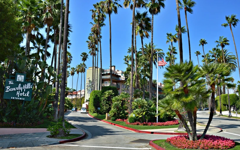 a palm tree lined street in front of a hotel, a portrait, by Dave Melvin, shutterstock, mulholland drive, lots of foliage, tall entry, usa-sep 20