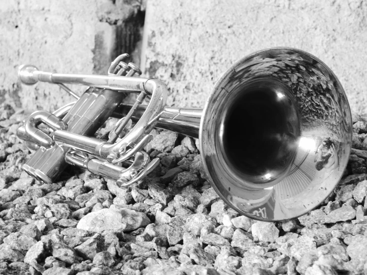 a trumpet sitting on top of a pile of rocks, pexels contest winner, photorealism, pure b&w, stainless steel, bones on the ground, closeup photo