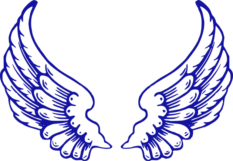 a pair of blue wings on a black background, a digital rendering, by Andrei Kolkoutine, art nouveau, vector art for cnc plasma, neck zoomed in, high angel distant shot, outline