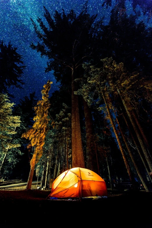 a tent in the middle of a forest at night, a picture, pexels, realism, ✨🕌🌙, tall trees, dark orange night sky, perfect composition and lighting