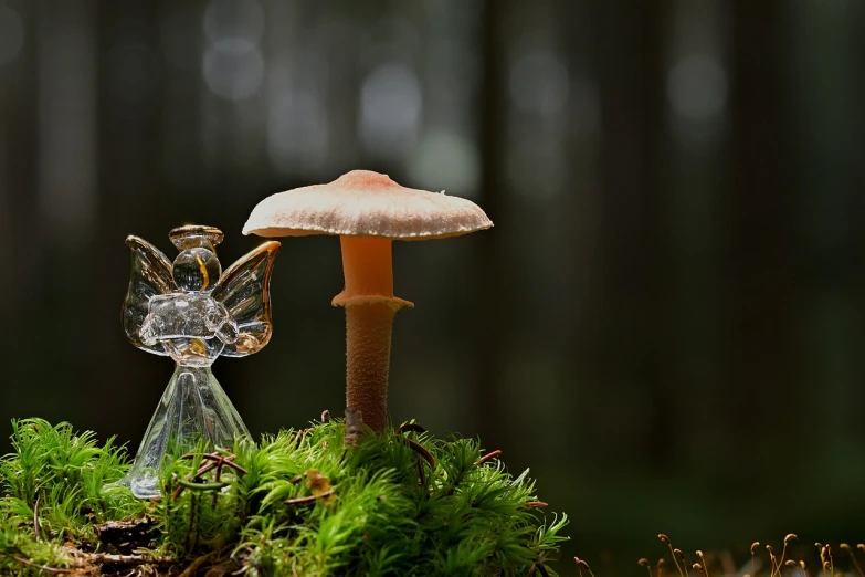 a mushroom sitting on top of a moss covered forest, a macro photograph, by Charmion von Wiegand, pixabay contest winner, renaissance, glass and lights, fairies have wings, made of glowing wax and ceramic, forest style studio shot