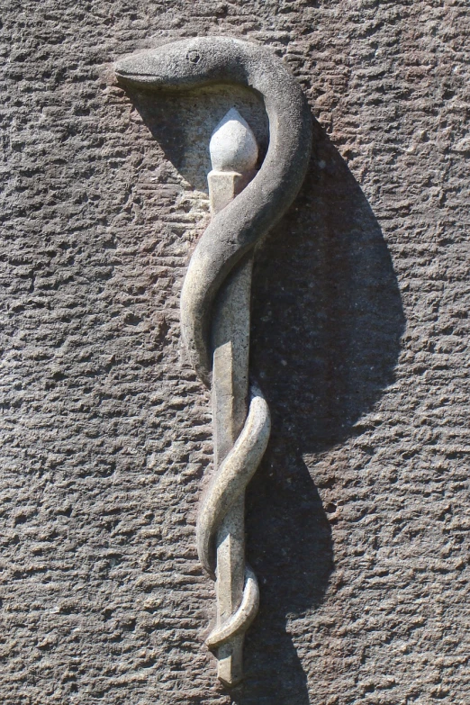 a statue of a snake wrapped around a staff, flickr, concrete art, medical depiction, cartouche, twisted braid, excellent contrast