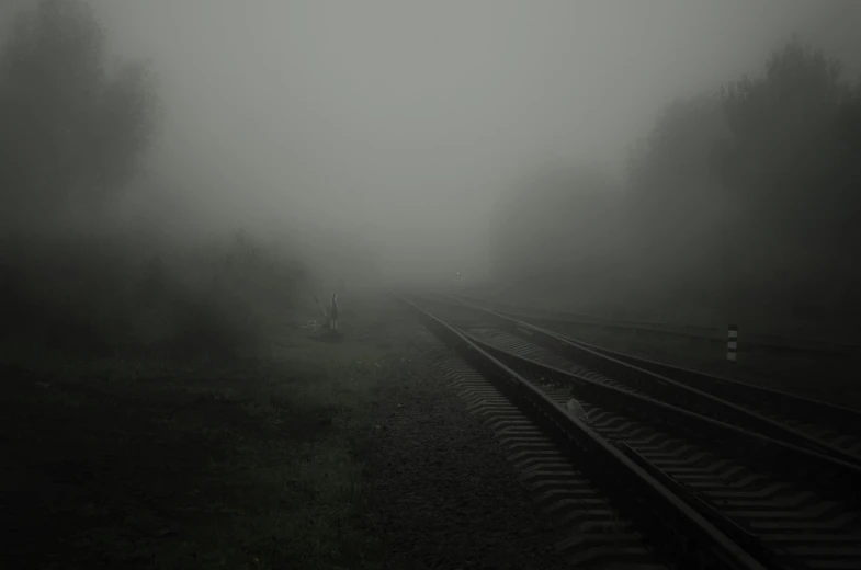 a train traveling down train tracks on a foggy day, flickr, postminimalism, beautiful dark creepy landscape, horror photo, alexandra fomina, green mist