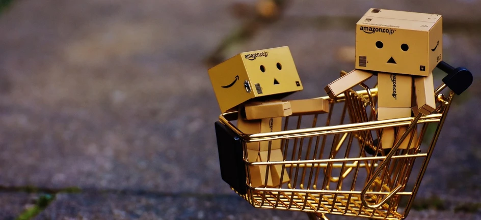 two cardboard boxes sitting in a shopping cart, a picture, pixabay contest winner, les automatistes, big gold eyes, nendoroid, jeff bezos, with a sad expression