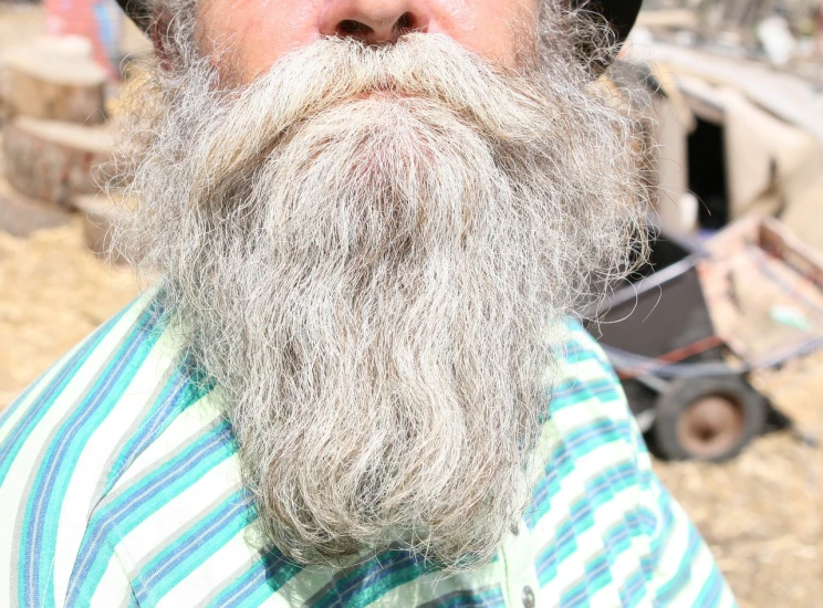 a man with a long beard wearing a hat, by Neil Blevins, precisionism, local close up, silver hair so long, usa-sep 20, hillbilly