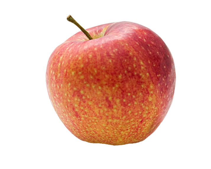 a close up of an apple on a white background, a digital rendering, renaissance, istockphoto, grain, orthodox, full colour