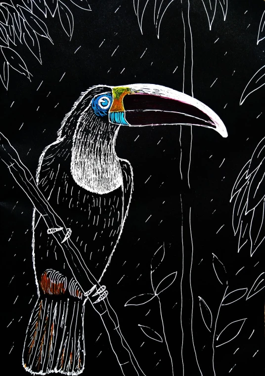 a drawing of a toucan perched on a tree branch, an illustration of, inspired by Oswaldo Guayasamín, flickr, art brut, under rain, on black paper, detail, tusks