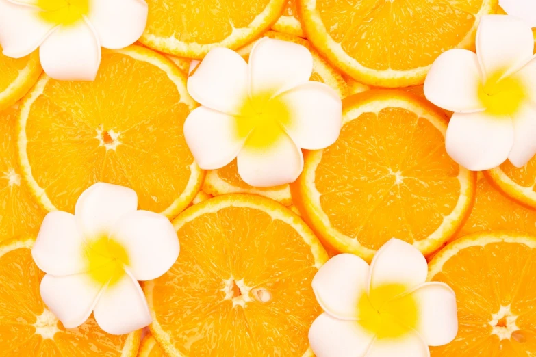 a bunch of orange slices with flowers on them, a screenshot, by John Luke, shutterstock contest winner, plumeria, vibrant.-h 704, orange skin, cream of the crop