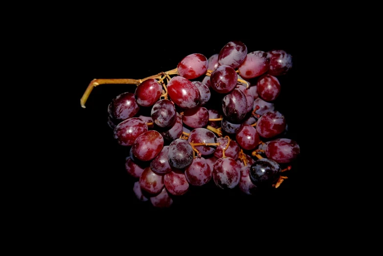 a close up of a bunch of grapes, by Harvey Pratt, photorealism, red selective coloring, shot at dark with studio lights, miniature product photo, contorted