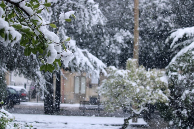 a red fire hydrant sitting in the middle of a snow covered yard, a picture, by Peter Snow, romanticism, raining outside the cafe, agrigento, taken from the high street, cannon snow covered trees