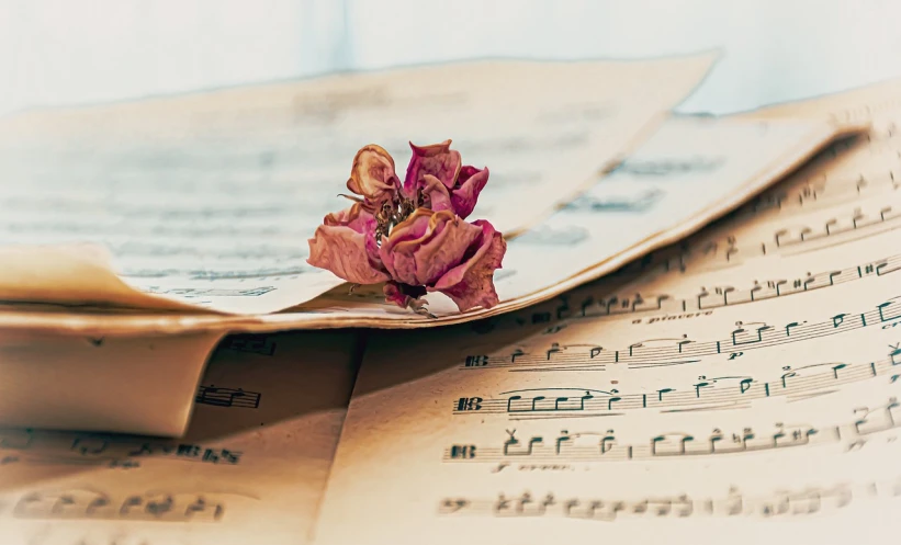 a flower sitting on top of a sheet of music, a photo, by Kurt Roesch, romanticism, dried petals, sergey zabelin, a close-up, musical notes