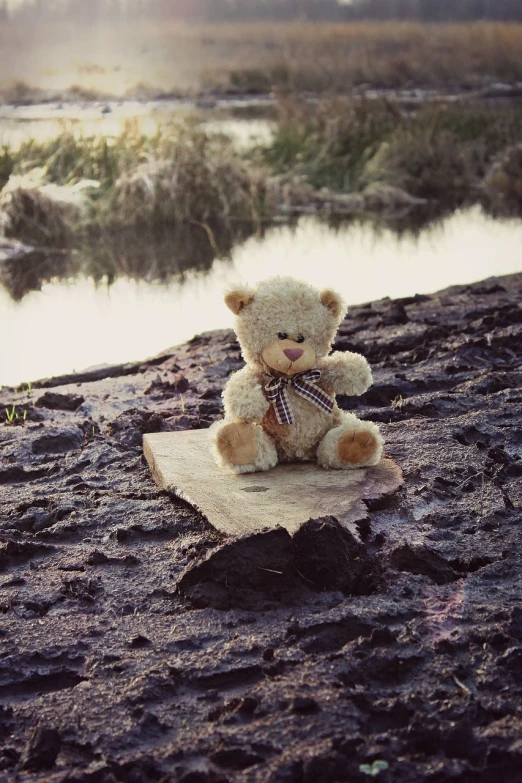 a teddy bear sitting on top of a piece of paper, a picture, by Béla Nagy Abodi, pexels, romanticism, sitting on a log, on a riverbank, innocent face, devon cady-lee