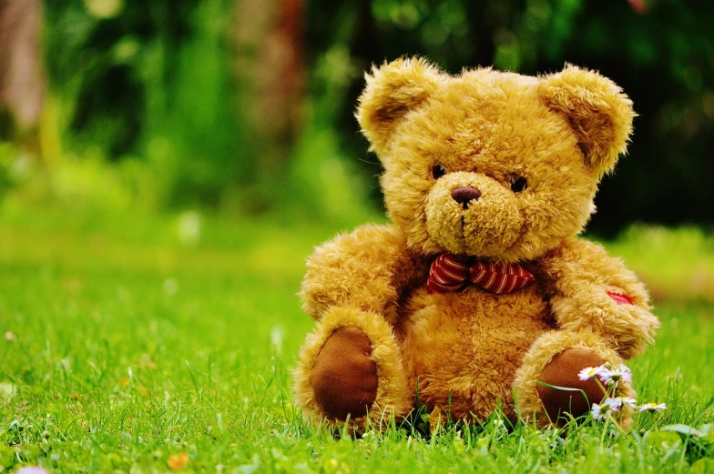 a brown teddy bear sitting on top of a lush green field, a picture, romanticism, 4k uhd wallpaper, sweet smile, fluffy fur, toys