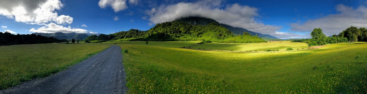 a dirt road running through a lush green field, a picture, by Karl Gerstner, romanticism, mountain behind meadow, buttercups, ultrawide lens”, fantasy!!!