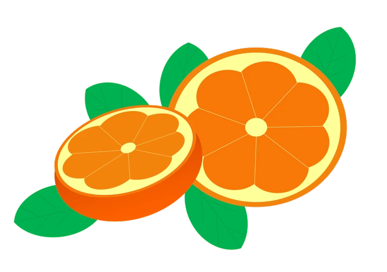 a couple of oranges sitting next to each other, an illustration of, by Taiyō Matsumoto, trending on pixabay, sōsaku hanga, on a flat color black background, slice - of - life, full color illustration, leaf